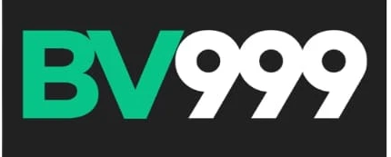 bdbv999.com Logo